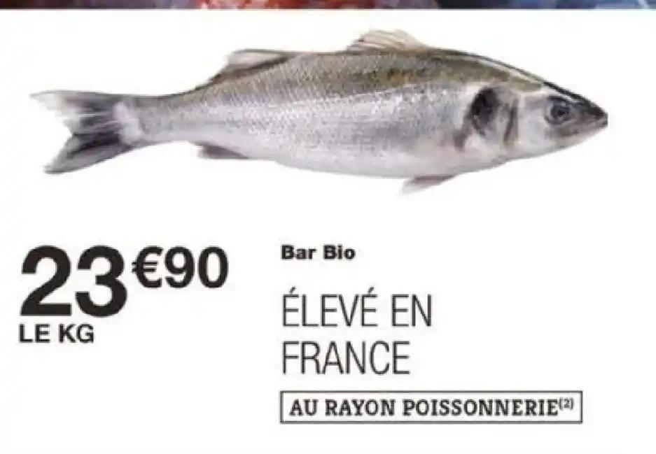 Bar Bio