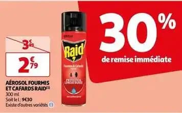 Raid - aérosol fourmis et cafards