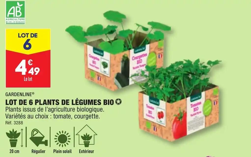 LOT DE 6 PLANTS DE LÉGUMES BIO✪