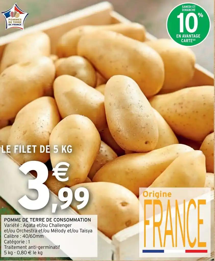 POMME DE TERRE DE CONSOMMATION