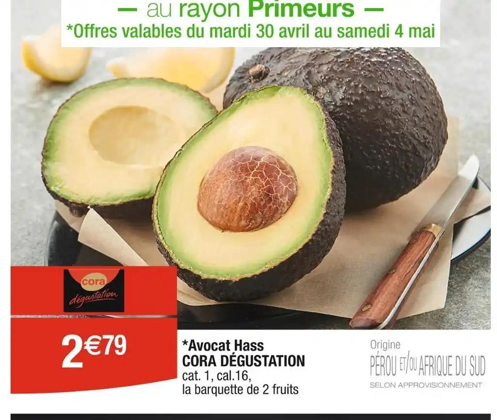 CORA DÉGUSTATION Avocat Hass