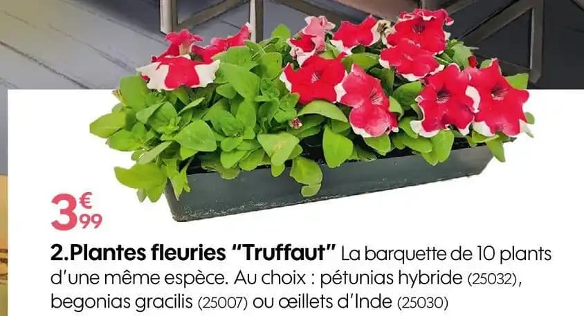 Truffaut Plantes fleuries