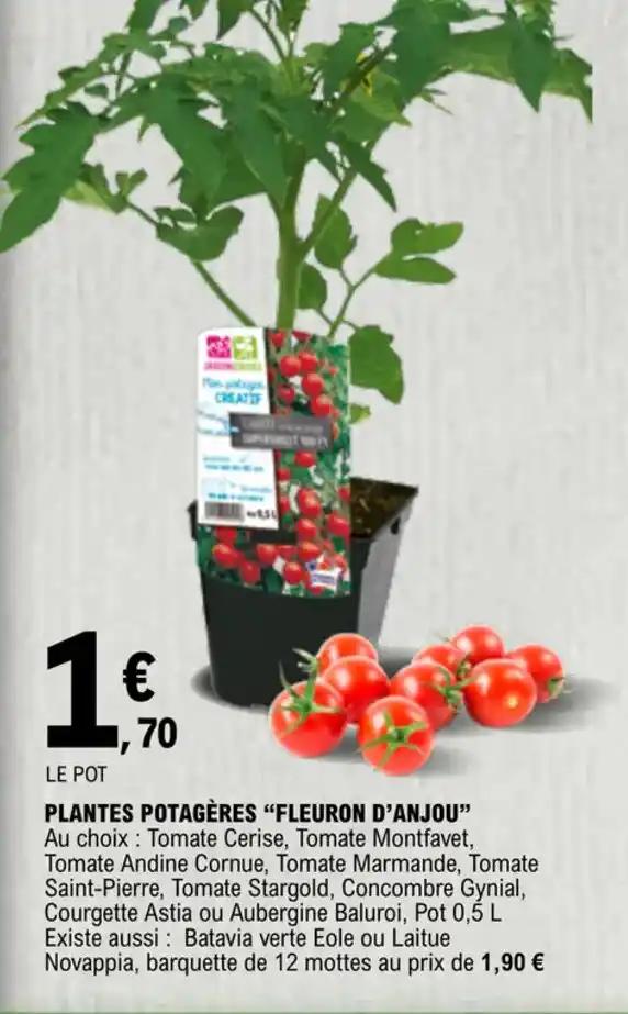 Promotion Exclusives de Fleuron : Découvrez l'Offre incontournable