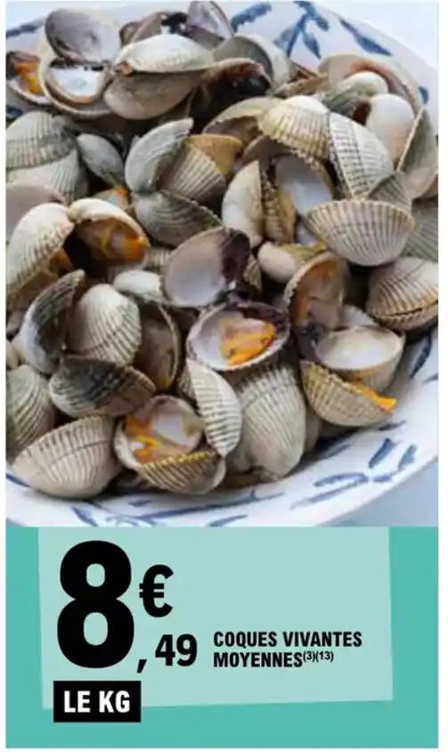 COQUES VIVANTES MOYENNES (3)(13)