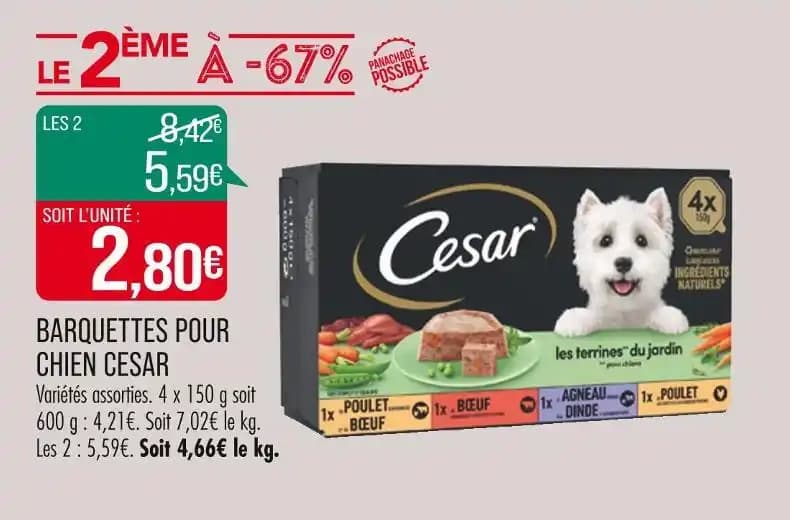 CESAR BARQUETTES POUR CHIEN