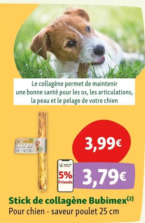 Promotion Exclusives de Bubimex : Découvrez l'Offre incontournable