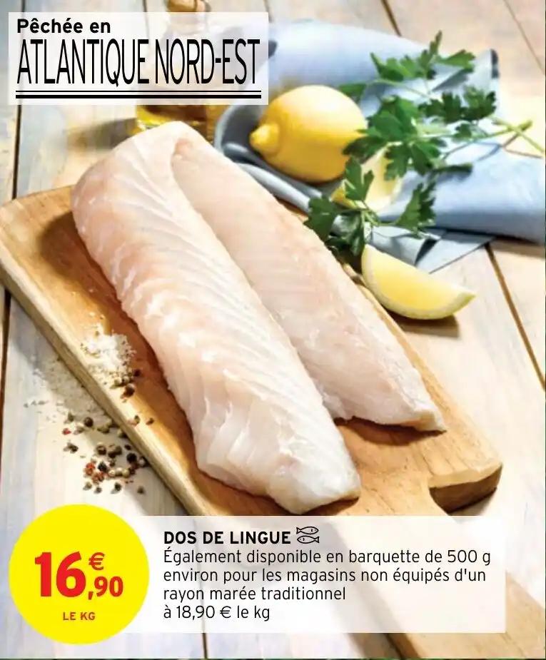 DOS DE LINGUE