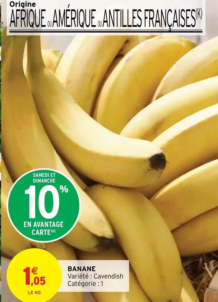 BANANE Variété Cavendish Catégorie : 1