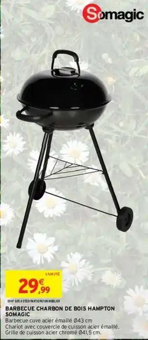Somagic - barbecue charbon de bois hampton