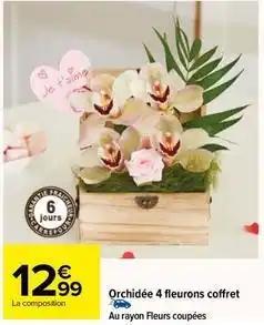 Orchidée 4 fleurons coffret