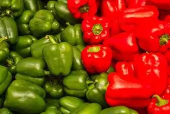 Promotion Exclusives de Rouge vert : Découvrez l'Offre incontournable