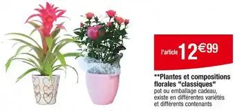 Plantes et compositions florales classiques