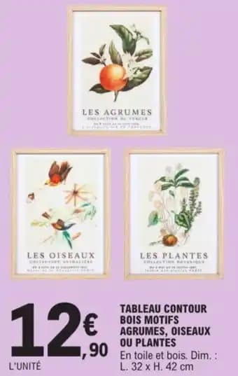TABLEAU CONTOUR BOIS MOTIFS AGRUMES, OISEAUX OU PLANTES