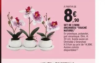 SET DE 3 MINI ORCHIDÉES "TOUCHÉ NATUREL