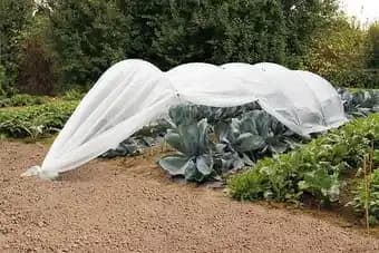 Filet thermique PROTEC anti-insecte blanc 4 x 6m