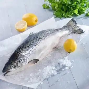 Saumon Atlantique entier FILIÈRE QUALITÉ CARREFOUR ASC (k)