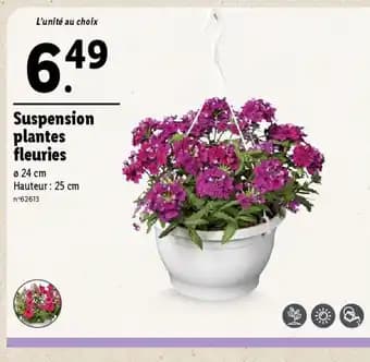 Suspension plantes fleuries