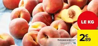 Promotion Exclusives de Pêche jaune : Découvrez l'Offre incontournable