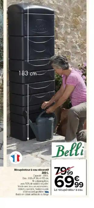 Récupérateur à eau décoratif