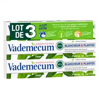VADEMECUM Dentifrice