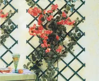 Treillis en bois vert Trelliwood H150 cm