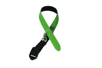 Collier pour chat Reflectite en nylon vert 12 mm - 30 cm