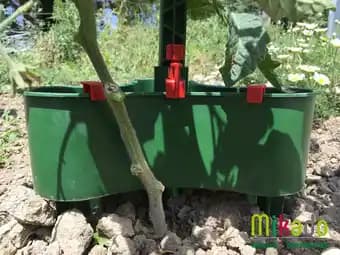 Réservoir 2L Pour Tuteur - Vert