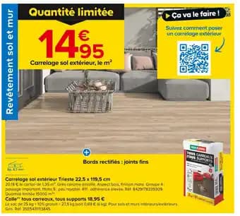 PAREXLANKO Carrelage sol extérieur Trieste 22,5 x 119,5 cm