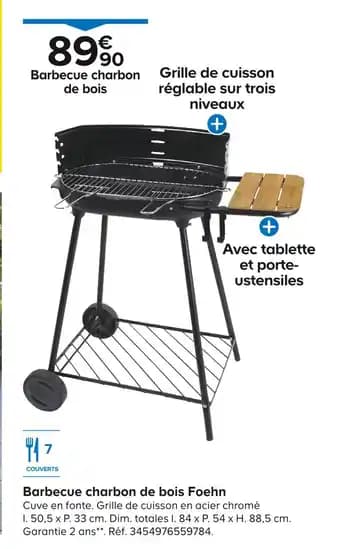 Barbecue charbon de bois Foehn