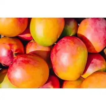 Promotion Exclusives de 6
Mangue : Découvrez l'Offre incontournable