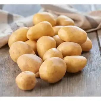 Promotion Exclusives de 24
De consommation : Découvrez l'Offre incontournable