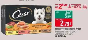 Promotion Exclusives de 5
            
        
        Cesar : Découvrez l'Offre incontournable