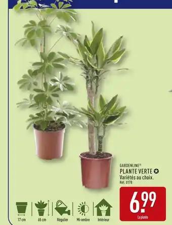 Promotion Exclusives de 18
            
        
        Verte : Découvrez l'Offre incontournable