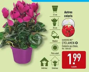 Promotion Exclusives de 1
            
        
        Cyclamen : Découvrez l'Offre incontournable