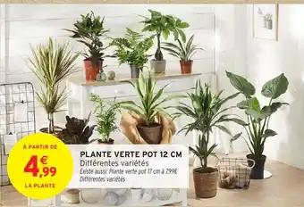 Promotion Exclusives de 6
Plante verte : Découvrez l'Offre incontournable