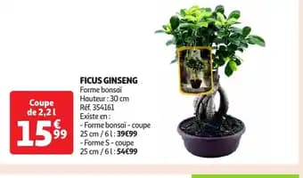 Promotion Exclusives de 2
            
        
        Ginseng : Découvrez l'Offre incontournable