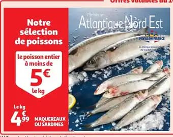 Promotion Exclusives de 16
Maquereaux : Découvrez l'Offre incontournable