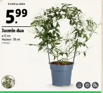 Promotion Exclusives de 32
Duo : Découvrez l'Offre incontournable