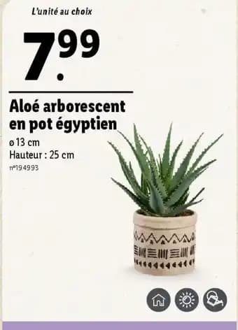 Promotion Exclusives de 3
Aloé : Découvrez l'Offre incontournable