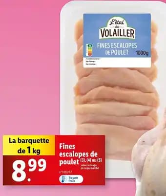 Promotion Exclusives de 17
Fines : Découvrez l'Offre incontournable