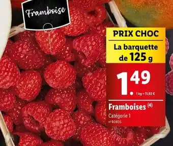 Promotion Exclusives de 3
Framboises : Découvrez l'Offre incontournable