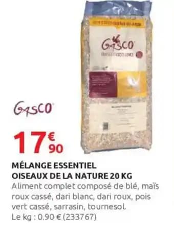 Promotion Exclusives de 14
Oiseaux : Découvrez l'Offre incontournable