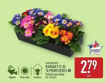 Promotion Exclusives de 12
Barquette : Découvrez l'Offre incontournable