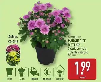 Promotion Exclusives de 1
Marguerite : Découvrez l'Offre incontournable