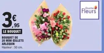 Bouquet de 20 mini ceillets arlequin