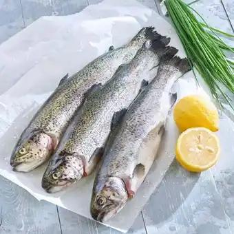 Promotion Exclusives de 2
Truite rose : Découvrez l'Offre incontournable