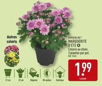 Promotion Exclusives de 3
Marguerite : Découvrez l'Offre incontournable