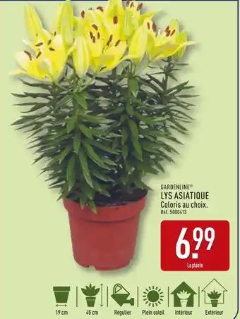 Promotion Exclusives de 4
Lys : Découvrez l'Offre incontournable