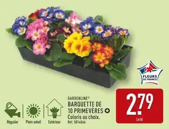 Promotion Exclusives de 8
Barquette : Découvrez l'Offre incontournable