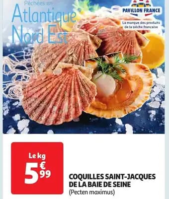 Promotion Exclusives de 2
Coquilles : Découvrez l'Offre incontournable
